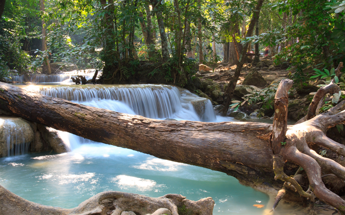 cascate, fiume, foresta pluviale, fauna, acqua blu, Tailandia, turismo