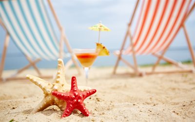 starfish, beach, sand, summer cocktail, chaise lounges, rest, relax, tourism, travel
