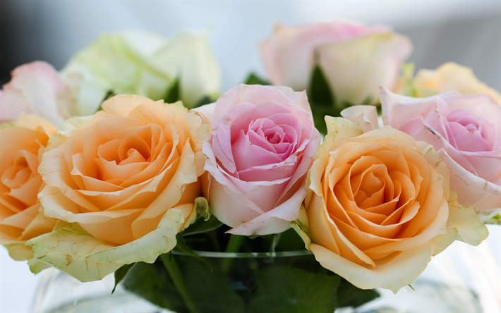 oranssi ruusut, rosebuds, kauniita kukkia, vaaleanpunainen ruusu, kimppu