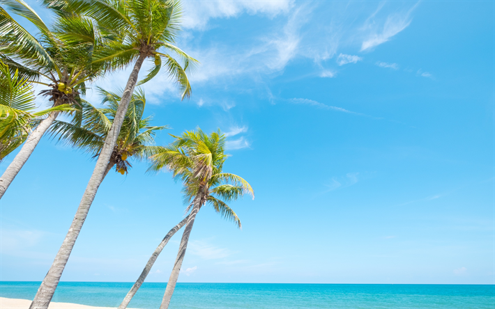 tropische insel, palmen, strand, meer, sommer, wind, azurblaue lagune, sommer reisen