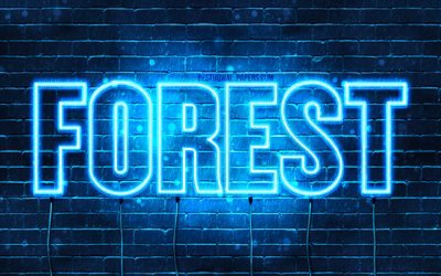 Forest, 4k, wallpapers with names, horizontal text, Forest name, Happy Birthday Forest, blue neon lights, picture with Forest name
