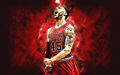 Denzel Valentine, NBA, Chicago Bulls, red stone background, American Basketball Player, portrait, USA, basketball, Chicago Bulls players