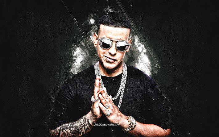 Daddy Yankee, Porto Rikolu şarkıcı, portre, yaratıcı sanat, gri taş arka plan, Raymond Luis Ayala Rodriguez