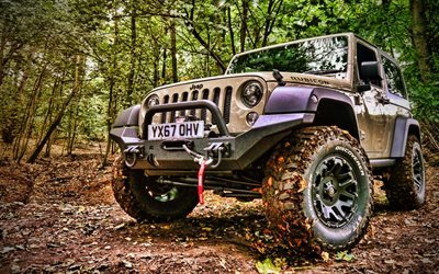 Jeep Wrangler Rubicon, HDR, forest, 2020 cars, SUVs, 2020 Jeep Wrangler, offroad, american cars, Jeep