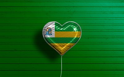 アラカジュ大好き, chk, リアルな風船, 緑の木製の背景, ブラジルの都市, アラカジュの旗, ブラジル, 旗が付いている気球, アラカジュ旗, アラカジュ