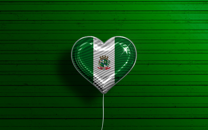i love chapeco, 4k, realistiska ballonger, gr&#246;n tr&#228;bakgrund, day of chapeco, brasilianska st&#228;der, chapecos flagga, brasilien, ballong med flagga, brasiliens st&#228;der, chapeco