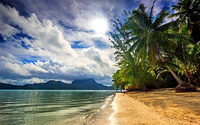 tropical islands, Bora Bora, evening, sunset, palm trees, coast, ocean, summer travel