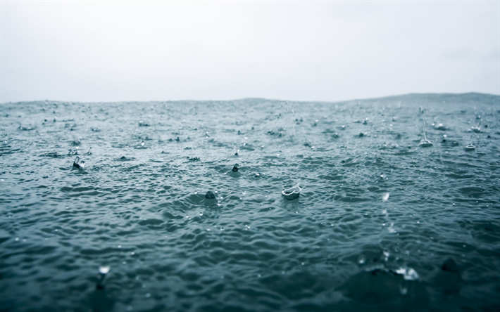 雨, 落下, 海, 波, 雨の海