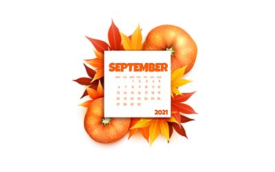 2021 september-kalender, 4k, wei&#223;er hintergrund, herbstelement, 3d-k&#252;rbis, september 2021-kalender, 2021-konzepte, september