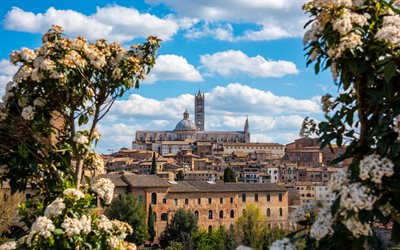 Siena, Toscana, Torre del Mangia, Duomo di Siena, estate, monumenti di Siena, paesaggio urbano di Siena, Italia