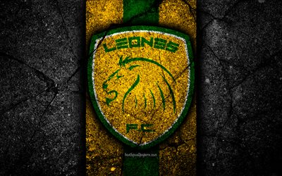 Itagui Leones FC, 4k, logo, Colombian football club, black stone, Categoria Primera A, Itagui Leones, Colombia, football, Liga Aguila, asphalt texture, FC Itagui Leones