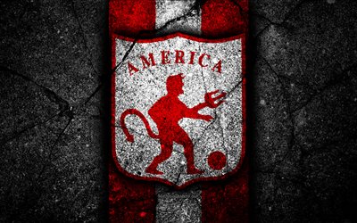 America de Cali FC, 4k, logo, Colombienne football club, pierre noire, de la Cat&#233;gorie Primera, America de Cali, en Colombie, le football, la Liga Aguila, l&#39;asphalte, la texture, le FC America de Cali