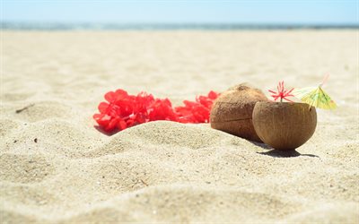 la plage, le sable, la noix de coco, Hawaii, etats-unis, l&#39;oc&#233;an, les d&#233;placements de l&#39;&#233;t&#233;, la noix de coco cocktail, cocktails d&#39;&#233;t&#233;
