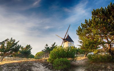 Noirmoutier, مطحنة, مساء, غروب الشمس, الأشجار, الصيف, فيندي, فرنسا