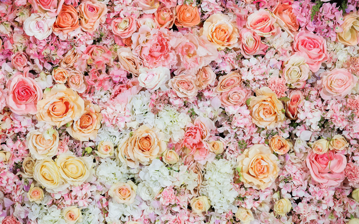 floral background, pink roses, floral pattern, roses, beautiful flowers