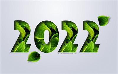 2022 New Year, green leaves, 2022 eco background, 2022 Year, 2022 concepts, Happy New Year 2022, 2022 green leaves background