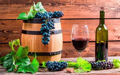 wine, grapes, barrel of wine, fruit, harvest, wine cellar