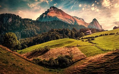 Toggenburg, berg, sunset, kullar, skogen, Alperna, St Gallen, Schweiz