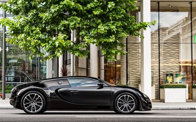 Bugatti Veyron, 2017, hypercar, black Veyron, side view, supercars, Bugatti