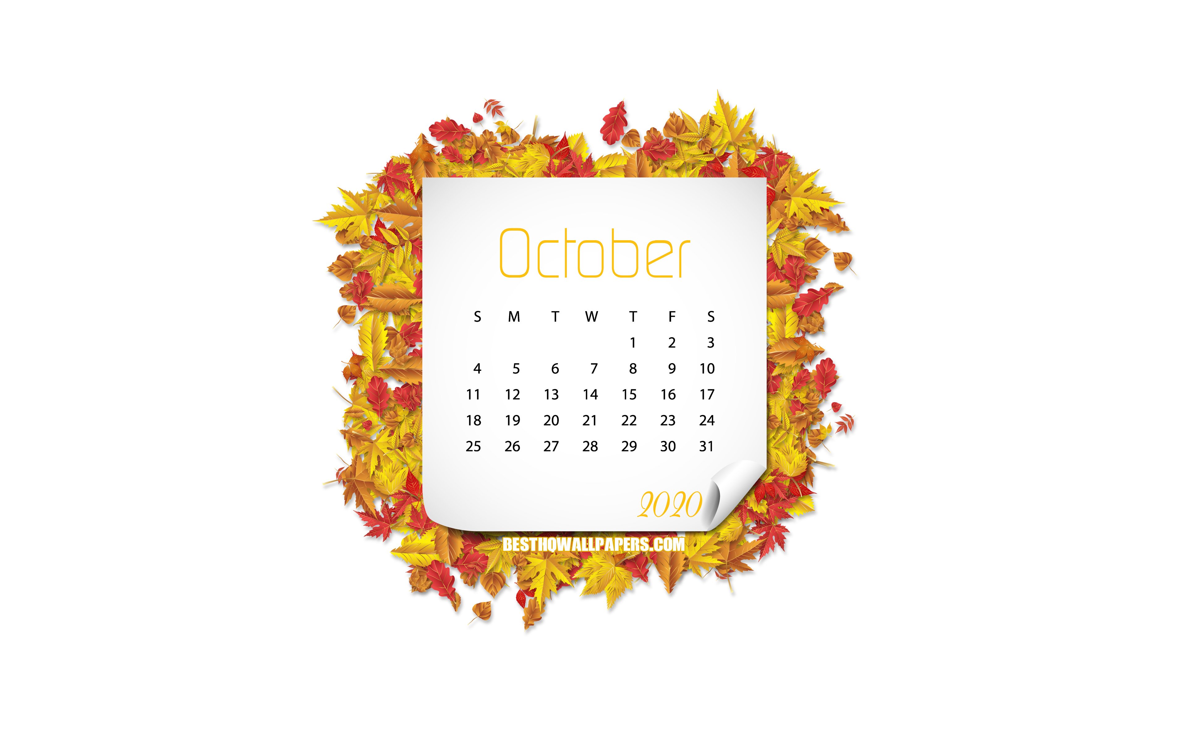 Descargar fondos de pantalla Calendario Octubre 2020, fondo blanco, hojas de  otoño, Octubre, marco de hojas amarillas, calendario Octubre 2020 monitor  con una resolución 3840x2400. Imagenes de escritorio