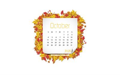 2020 oktoberkalender, vit bakgrund, höstlöv, oktober, ram för gula löv, kalender för oktober 2020