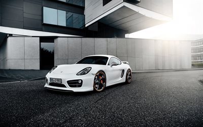 Porsche Cayman, 2016 bilar, supercars, Techart, tuning, tyska bilar, vit Porsche
