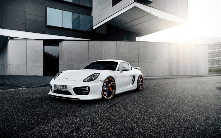 Porsche Cayman, 2016 carros, supercarros, Techart, tuning, carros alem&#227;es, Porsche branco