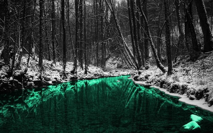invierno, bosque, r&#237;o color esmeralda, monocromo