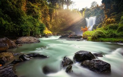 Tegenungan Waterfall, morning, jungle, river, Indonesia