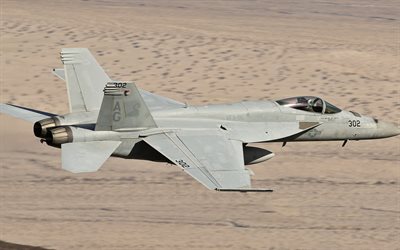 ماكدونيل دوغلاس, F-18 Hornet, مقاتلة أمريكية, القوات الجوية الأمريكية, FA-18, طائرة عسكرية