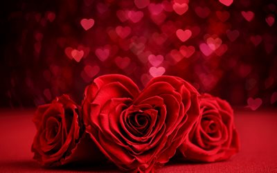 赤いバラを中心, ロマンス, バレンタインデー, 月14日, バラ, ロマンティックの休日