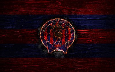 Davao Aguilas FC, fire logo, Liga Aguila, red and blue lines, Colombian football club, grunge, football, Categoria Primera A, soccer, Davao Aguilas logo, wooden texture, Colombia