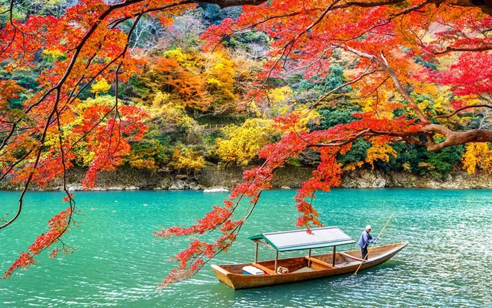 Arashiyama-puisto, Kioto, syksy, keltaisia puita, oransseja lehti&#228; puilla, Japani