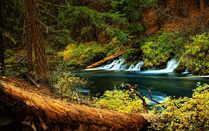 USA, beautiful nature, waterfalls, forest, autumn, Oregon, America