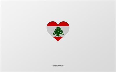 J&#39;aime le Liban, les pays d&#39;Asie, le Liban, fond gris, le coeur du drapeau du Liban, le pays pr&#233;f&#233;r&#233;, l&#39;amour du Liban
