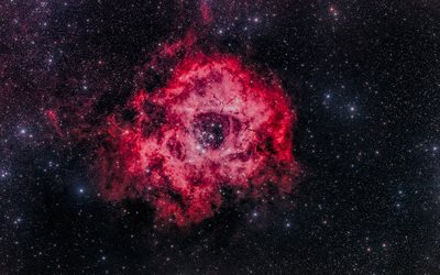 NGC 2244, 4k, nebula, galaksi, yıldız