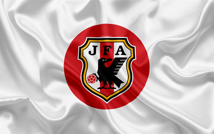 Giappone, nazionale di calcio della squadra, logo, stemma, bandiera del Giappone, la federazione calcio, Campionato del Mondo di calcio, di seta texture
