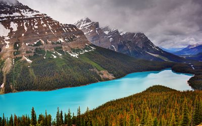 Peyto Lake, glacier-fed lake, forest, mountain lake, mountain landscape, Banff National Park, Canadian Rockies, alberta, Mistaya River, Canada