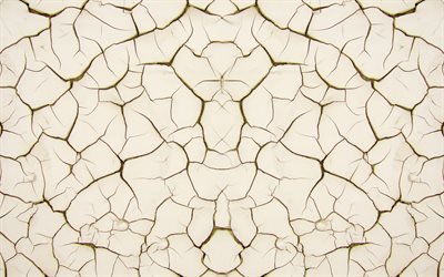 cracked soil texture, 4k, cracked patterns, white soil background, macro, soil textures, cracked textures