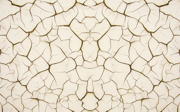 texture fissur&#233;e du sol, 4k, motifs fissur&#233;s, fond de sol blanc, macro, textures du sol, textures fissur&#233;es