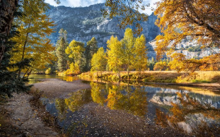 Merced Nehri, sonbahar, dağ manzarası, orman, sarı ağa&#231;lar, dağ nehri, Yosemite Ulusal Parkı, Kaliforniya, ABD