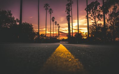 USA, 4k, strada, tramonto, linee gialle, palme, America