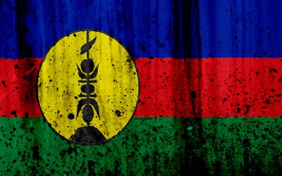 Uusi-Kaledonia lippu, 4k, grunge, lipun Uusi-Kaledonia, Oseania, Uusi-Kaledonia, kansalliset symbolit