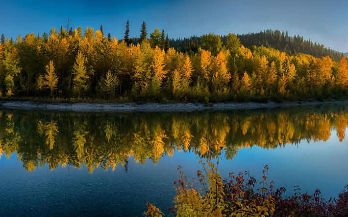 Glacier National Park, rio, floresta, outono, amarelo &#225;rvores, paisagem de outono, EUA