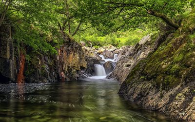 waterfall, forest, river, green trees, beautiful waterfall, rocks