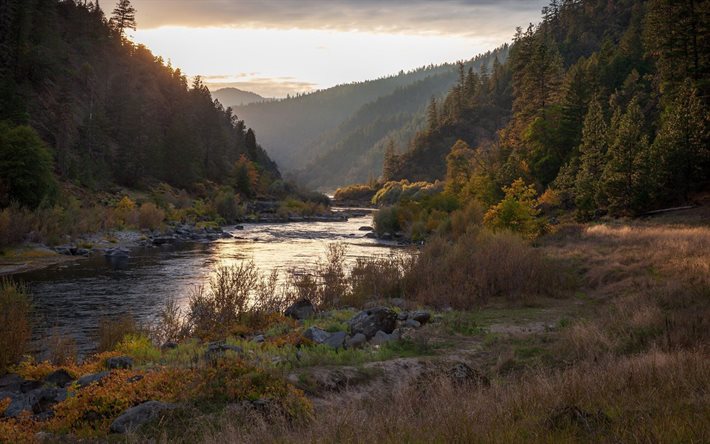 rio da montanha, noite, p&#244;r do sol, floresta, paisagem montanhosa, &#225;rvores verdes, Oregon, EUA
