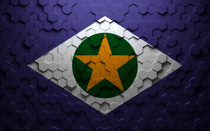 Mato Grossos flagga, honeycomb art, Mato Grosso hexagon flagga, Mato Grosso, 3d hexagon art, Mato Grosso flagga