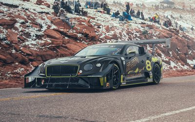 Bentley Continental GT3 Pikes Peak, racing cars, 2021 cars, supercars, 2021 Bentley Continental GT, Bentley