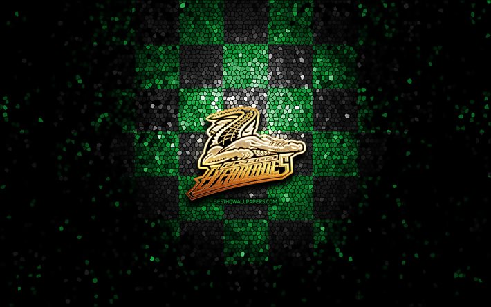 Florida Everblades, glitter logo, ECHL, green black checkered background, hockey, american hockey team, Florida Everblades logo, mosaic art