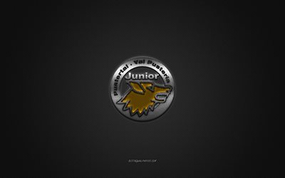 HC Pustertal, Italian hockey club, EIHL, gray logo, gray carbon fiber background, Elite Ice Hockey League, hockey, Bruneck, Italy, HC Pustertal logo